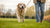 How to Help Senior Dog with Arthritis Lose Weight: Essential Tips for Pet Owners