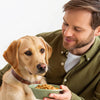How to Help Your Dog Gain Weight: A Complete Guide for Pet Owners