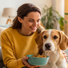How to Help Your Dog Gain Weight: A Comprehensive Guide for Pet Owners