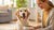 How to Help Your Dog Gain Weight Fast: Essential Tips and Strategies for Pet Owners