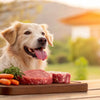 How to Help Your Dog Gain Weight on a Raw Diet: A Comprehensive Guide