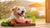 How to Help Your Dog Gain Weight on a Raw Diet: A Comprehensive Guide
