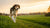 How to Help Your Dog Lose Weight: Home Remedies and Practical Tips