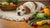 How to Help Your Senior Dog Gain Weight: Essential Tips and Strategies