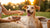 How to Help Your Skinny Dog Gain Weight: A Comprehensive Guide