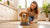 How to Identify Dog Food Allergies: A Comprehensive Guide for Pet Owners-141044351215