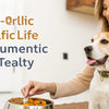 How to Increase a Dog's Weight: A Comprehensive Guide for Pet Owners