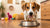 How to Increase My Dog's Weight: Comprehensive Tips for Healthy Weight Gain
