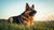 How to Increase the Weight of Your German Shepherd Dog: A Comprehensive Guide
