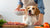 How to Introduce Raw Food to Your Dog: A Comprehensive Guide for Pet Owners