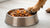 How to Introduce Wet Dog Food: A Comprehensive Guide for Pet Parents