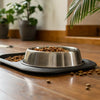 How to Keep Ants from Dog Food Bowl: Effective Strategies for Pet Owners