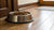 How to Keep Ants Out of Your Dog Food Bowl Inside