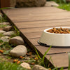 How to Keep Ants Out of Dogs Food Bowl