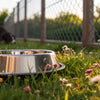 How to Keep Bees Out of Your Dog's Water Bowl: Effective Strategies for Pet Owners
