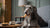 How to Keep Dog Food Fresh: Tips for Pet Parents