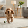 How to Keep Dog Food Fresh Longer: Expert Tips for Pet Owners