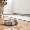 How to Keep Dog Water Bowl Area Dry: Practical Tips for Pet Owners