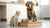 How to Keep Dogs Out of Cat Food Bowl: Strategies for a Harmonious Home