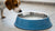How to Keep Mold Out of Dog Water Bowls: Essential Tips for Pet Owners-140791447791