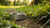 How to Keep Mosquitoes Out of Your Dog Water Bowl: Essential Tips for Pet Owners-140795281647