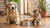 How to Keep Older Dog From Eating Puppy Food: Solutions for Multi-Dog Households