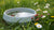 How to Keep Your Dog Water Bowl Clean: A Comprehensive Guide for Pet Owners-140792201455