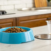 How to Know How Much Food to Feed Your Dog: A Comprehensive Guide