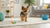 How to Know If Kibble Has Gone Bad: A Comprehensive Guide for Pet Owners