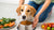 How to Make a Dog Eat His Food: Tips and Strategies for Pet Owners-140409798895