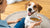 How to Make a Dog Gain Weight: A Comprehensive Guide for Pet Owners