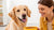 How to Make a Dog Gain Weight and Muscle: A Comprehensive Guide for Pet Owners