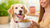 How to Make a Dog Gain Weight in a Week: A Comprehensive Guide for Pet Owners