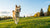 How to Make a Dog Lose Weight Quickly Naturally: A Comprehensive Guide