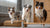 How to Make a Wet Dog Food Recipe: A Comprehensive Guide for Pet Owners