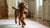 How to Make Air Dried Dog Food: A Comprehensive Guide for Pet Lovers
