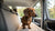 How to Make Beef Broth for Dogs: A Nutritious Guide for Pet Owners