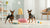How to Make Beef Liver Dog Treats: A Simple Guide for Happy Pups