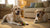 How to Make Bone Broth for Dogs: A Simple and Nutritious Recipe
