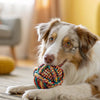 How to Make Crunchy Dog Biscuits: A Simple Guide to Homemade Crunchy Treats Your Pup Will Love