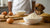 How to Make Dog Biscuits: A Complete Guide for Pet Owners-141101400303