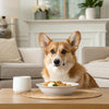 How to Make Dog Biscuits from Scratch: A Comprehensive Guide for Pet Lovers