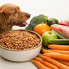 How to Make Dog Food for Dogs with Allergies: A Comprehensive Guide
