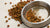 How to Make Dog Kibble Soft: A Comprehensive Guide