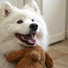 How to Make Dry Dog Food in Bulk: A Comprehensive Guide for Pet Owners