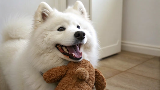 How to Make Dry Dog Food in Bulk: A Comprehensive Guide for Pet Owners