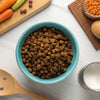 How to Make Dry Dog Food into Wet Food: A Comprehensive Guide