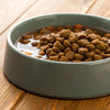 How to Make Dry Dog Food Soft: Transforming Mealtime for Your Pup