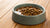 How to Make Dry Dog Food Soft: Transforming Mealtime for Your Pup