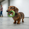 How to Make Easy Dog Biscuits: Simple Recipes and Tips for Homemade Treats